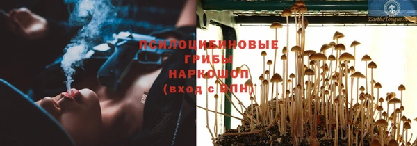 гидра Нея
