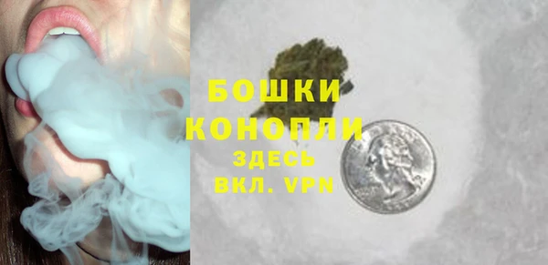 гидра Нея