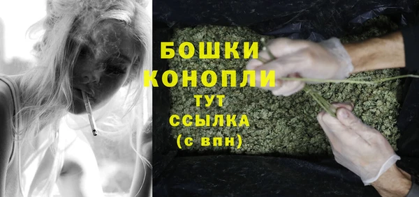 гидра Нея
