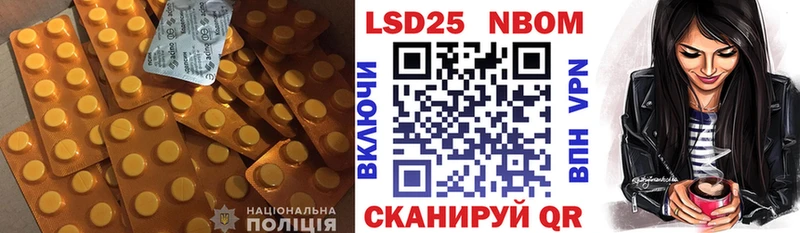 omg как войти  Новочебоксарск  Лсд 25 экстази ecstasy 