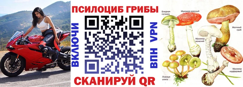 Галлюциногенные грибы прущие грибы  купить наркоту  Новочебоксарск 
