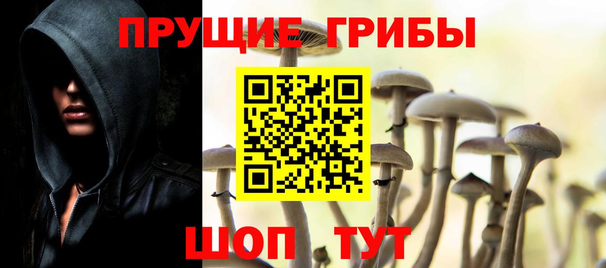 Новочебоксарск  Галлюциногенные грибы прущие грибы  Вход с VPN  Псилоцибиновые грибы Psilocybe 