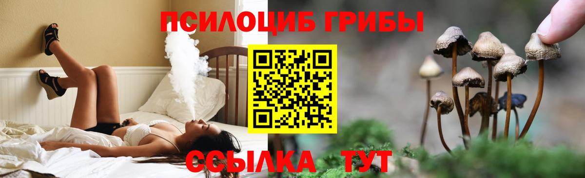 Псилоцибиновые грибы Magic Shrooms Новочебоксарск