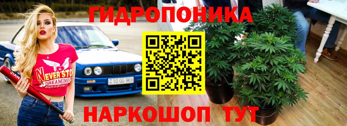 Каннабис план Новочебоксарск